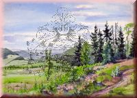 Landschaft