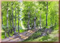 Waldweg